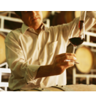 Getting to Know Bordeaux