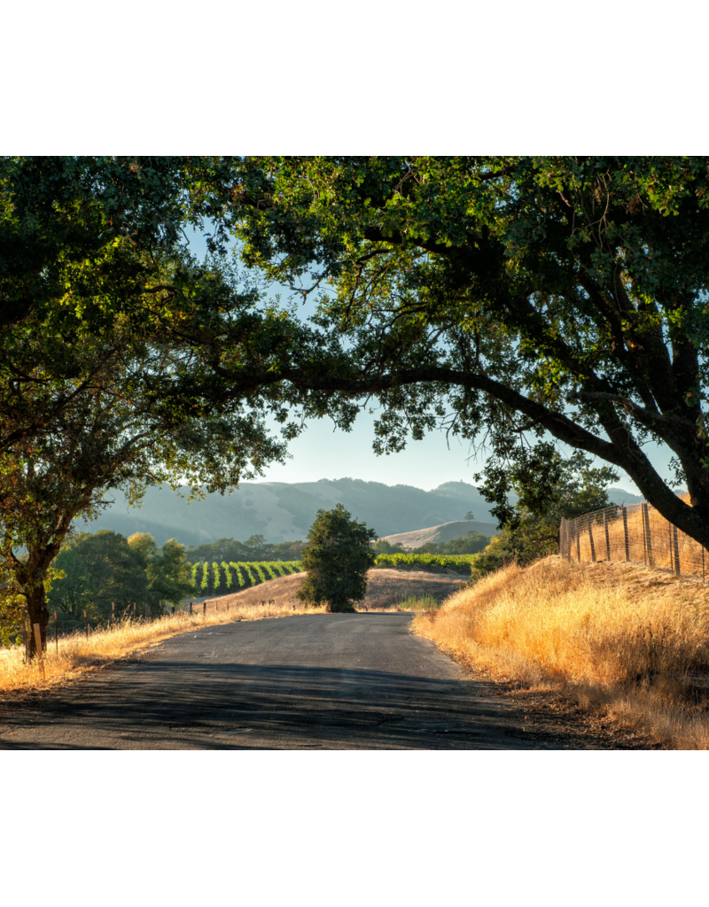 Sipping Through Sonoma