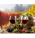 An Introduction to Wine: A 3-Part Series