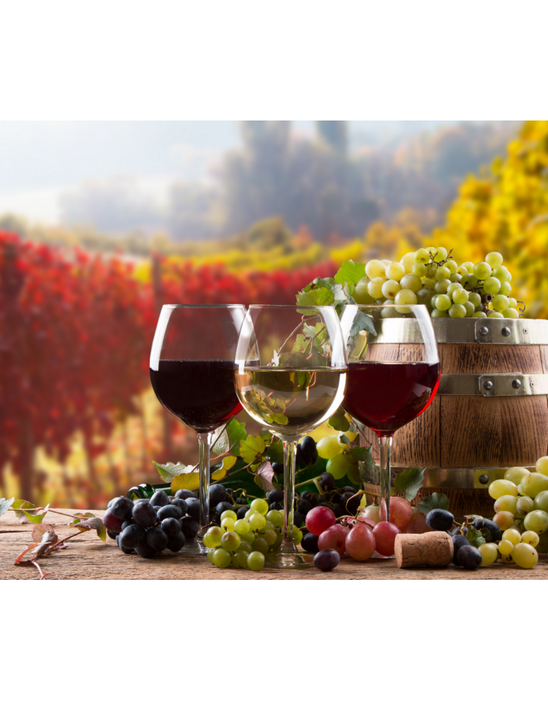 An Introduction to Wine: A 3-Part Series
