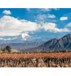 Foothills of the Andes: The Wines of Chile & Argentina