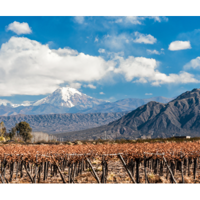 Foothills of the Andes: The Wines of Chile & Argentina