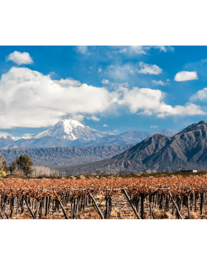Foothills of the Andes: The Wines of Chile & Argentina