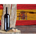 Introduction to Spanish Wines