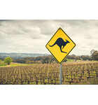 The Winemakers of Oz: Exploring the Wines of Australia