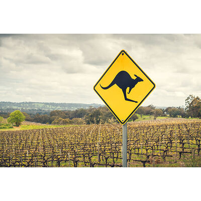 The Winemakers of Oz: Exploring the Wines of Australia