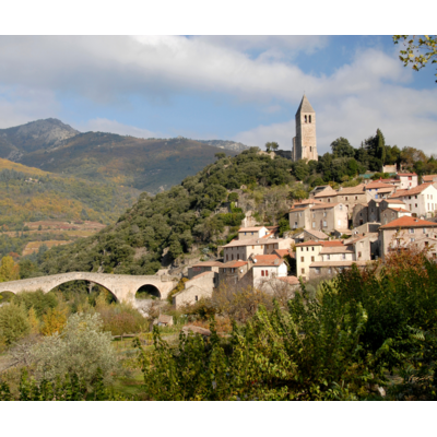 Wines of the Languedoc: France's Best Kept Secret