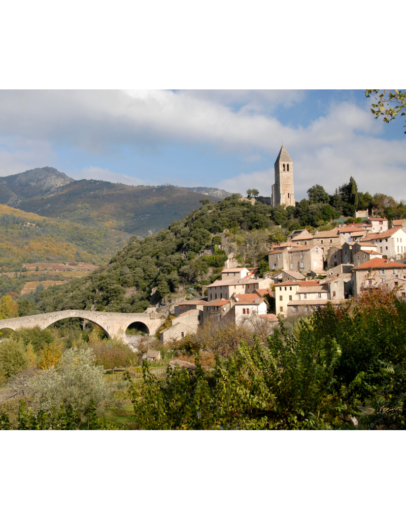 Wines of the Languedoc: France's Best Kept Secret