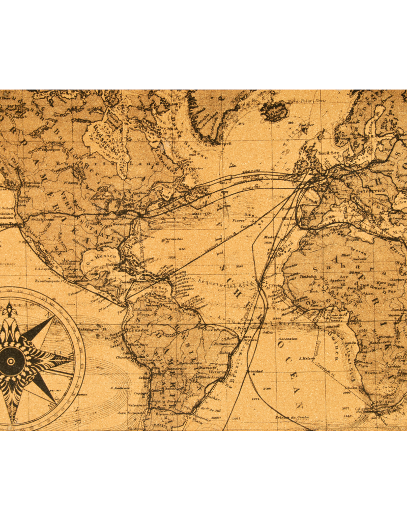 Old World vs. New World — Styles, Tastes & Traditions