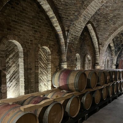 Wines of Hungary: The New Old World