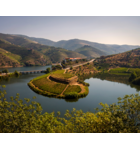 Leaving Port: The Wines of Portugal