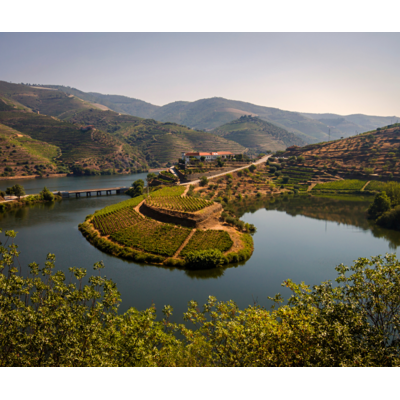 Leaving Port: The Wines of Portugal