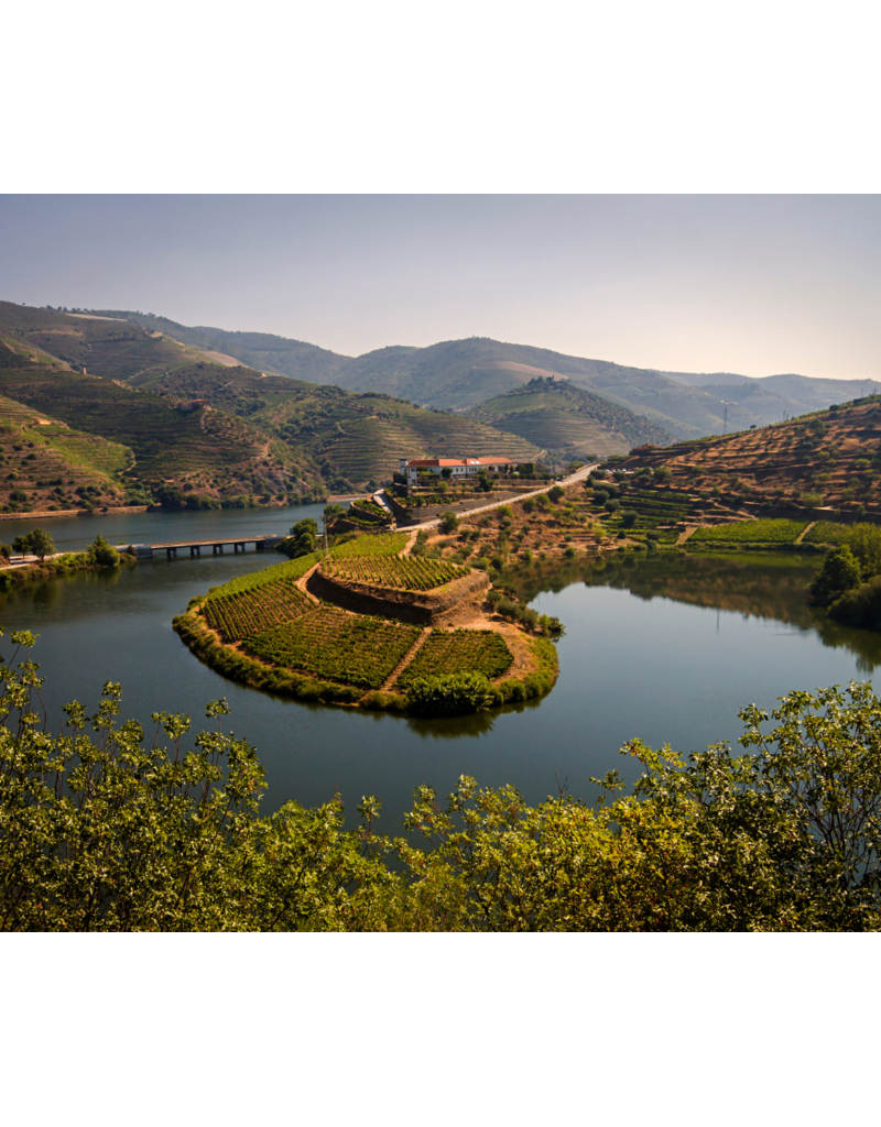 Leaving Port: The Wines of Portugal