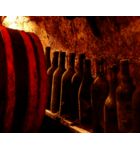 Wines of Eastern Europe and The Birthplace of Wine // Location: Capitol Hill, DC