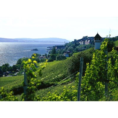 More than Riesling! Exploring Germany's Other Wines