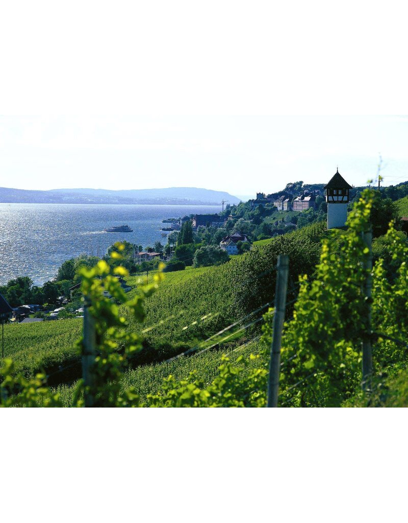 More than Riesling! Exploring Germany's Other Wines