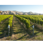 Southern Exposure: Wines of New Zealand // Location: Capitol Hill, DC