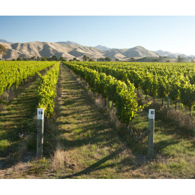 Southern Exposure: Wines of New Zealand // Location: Capitol Hill, DC