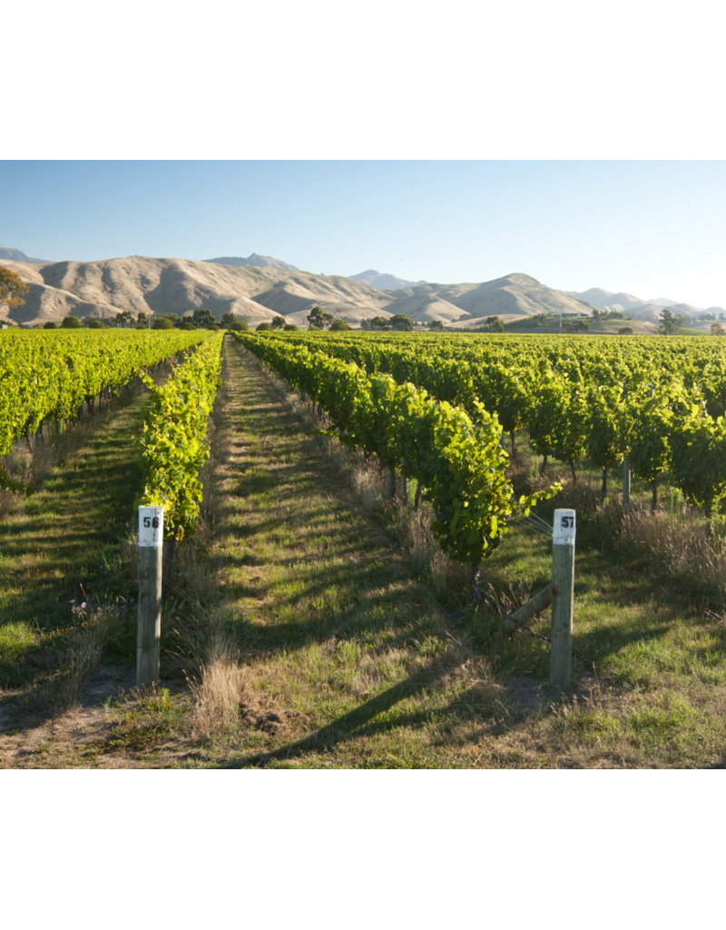 Southern Exposure: Wines of New Zealand // Location: Capitol Hill, DC