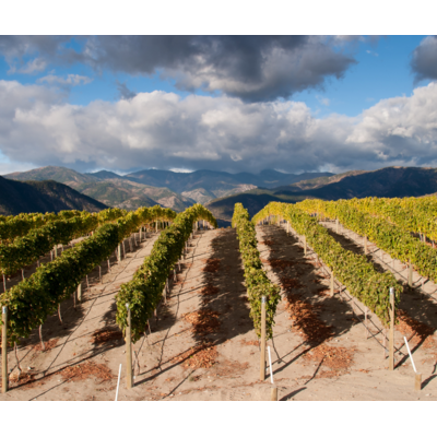 Fire & Ice: The Story of Washington State Wines // Location: Capitol Hill, DC