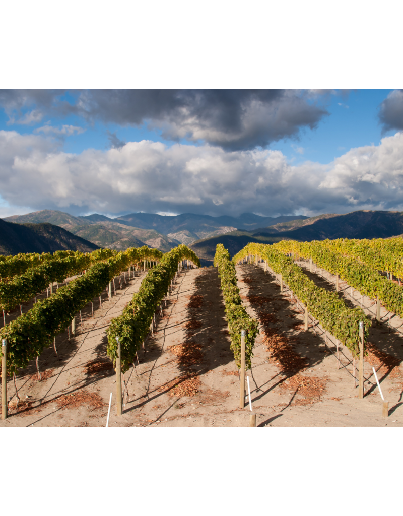 Fire & Ice: The Story of Washington State Wines // Location: Capitol Hill, DC