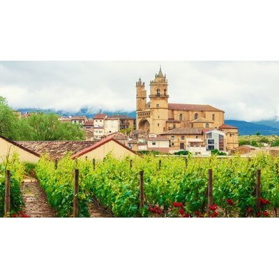 Introduction to the Wines of Spain // Location: Alexandria, VA