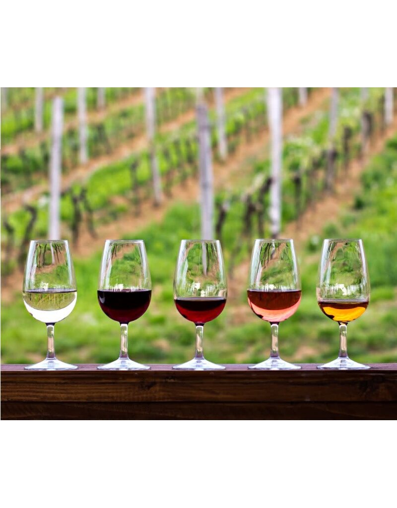 Taste Fundamentals: An Introduction to Wine // Location: Alexandria, VA