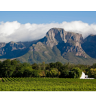 Cape Crusaders: The Wines of South Africa // Location: Capitol Hill, DC