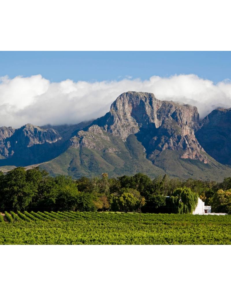 Cape Crusaders: The Wines of South Africa // Location: Capitol Hill, DC