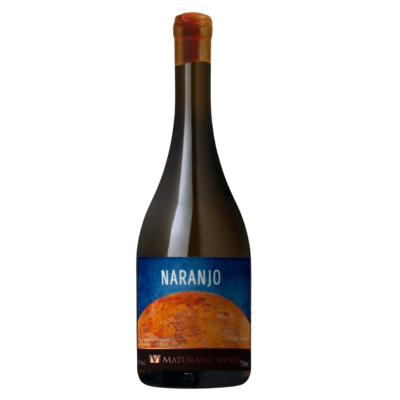 Maturana Torontel Naranjo 2023