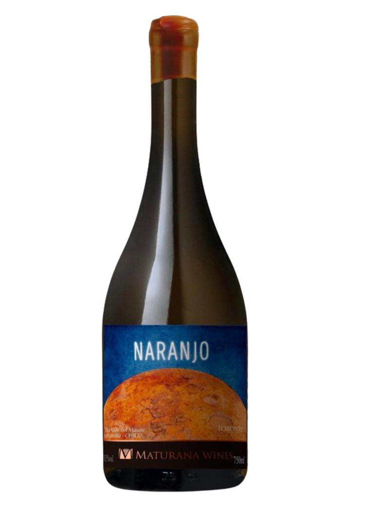 Maturana Torontel Naranjo 2023