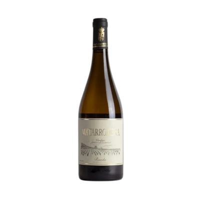 Bodega Matarromera Barrel Fermented Verdejo 2023