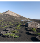 Explosive Flavors! Wines from Volcanic Soils // Location: Capitol Hill, DC