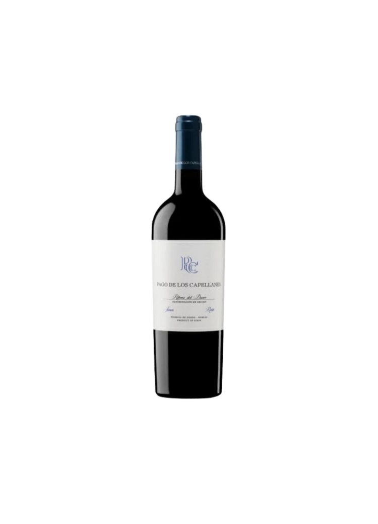 Pago de los Capellanes Tinto Joven 2024
