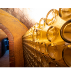 A Deep Dive into Cava // Location: Capitol Hill, DC