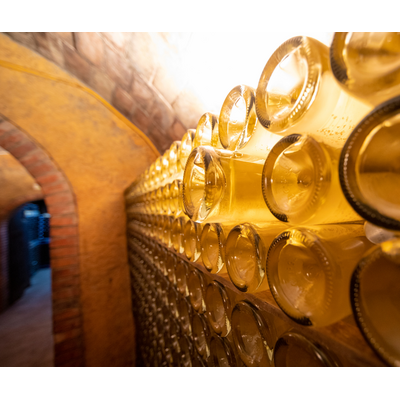 A Deep-Dive into Cava // Location: Capitol Hill, DC