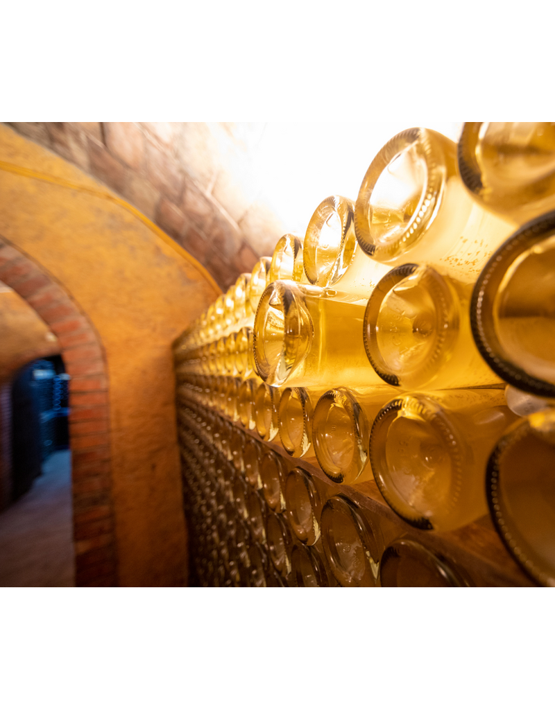 A Deep Dive into Cava // Location: Capitol Hill, DC