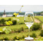 Riesling: The Summer's Best Wine & Why Somms Love It // Location: Capitol Hill, DC
