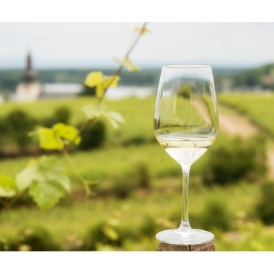 Riesling: The Summer's Best Wine & Why Somms Love It // Location: Capitol Hill, DC