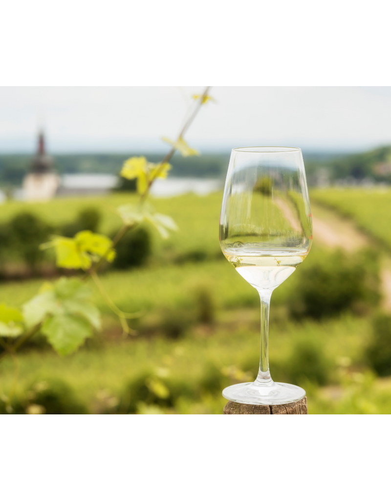 Riesling: The Summer's Best Wine & Why Somms Love It // Location: Capitol Hill, DC