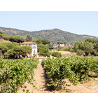 Overlooked Wines of Spain // Location: Capitol Hill, DC