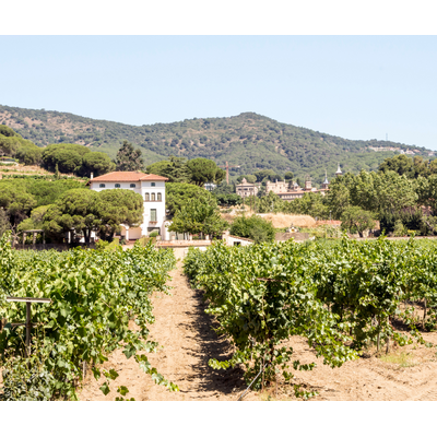 Overlooked Wines of Spain // Location: Capitol Hill, DC