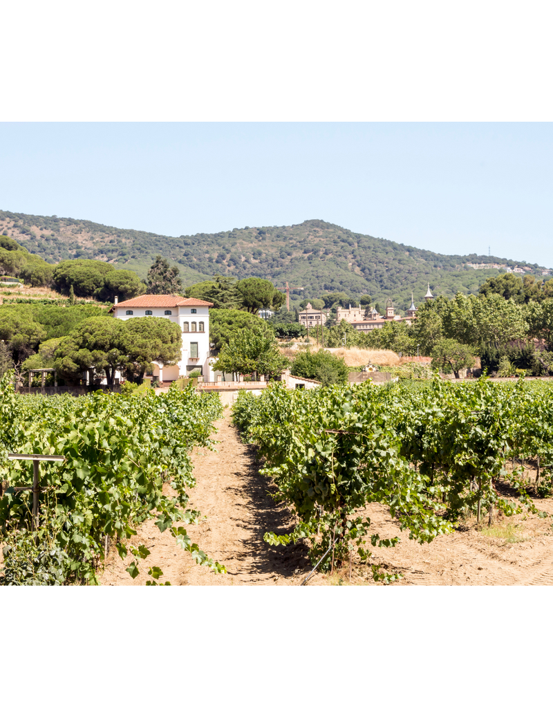 Overlooked Wines of Spain // Location: Capitol Hill, DC