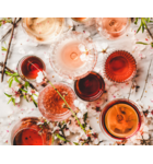 Yes Way, Rosé! Rosé Wines From Around the World // Location: Capitol Hill, DC
