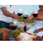 Red Cold: Chillable Red Wines for Summer // Location: Alexandria, VA