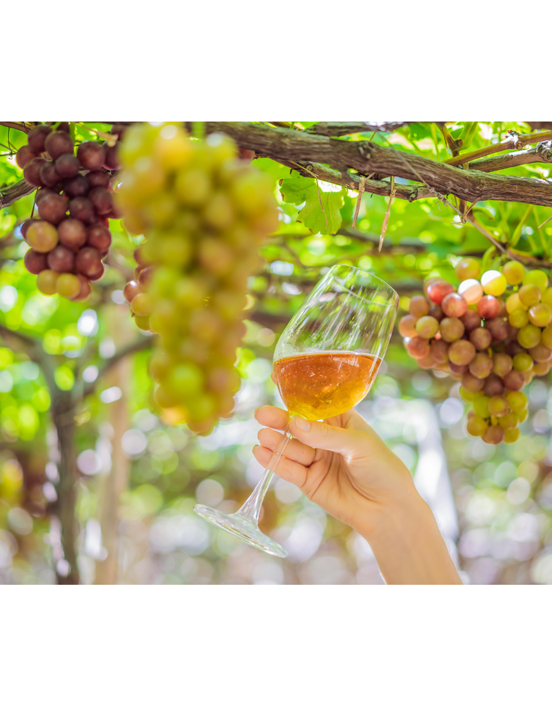 Grapes You've Never Heard Of // Location: Alexandria, VA
