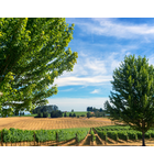 Oregon's Willamette Valley // Location: Alexandria, VA