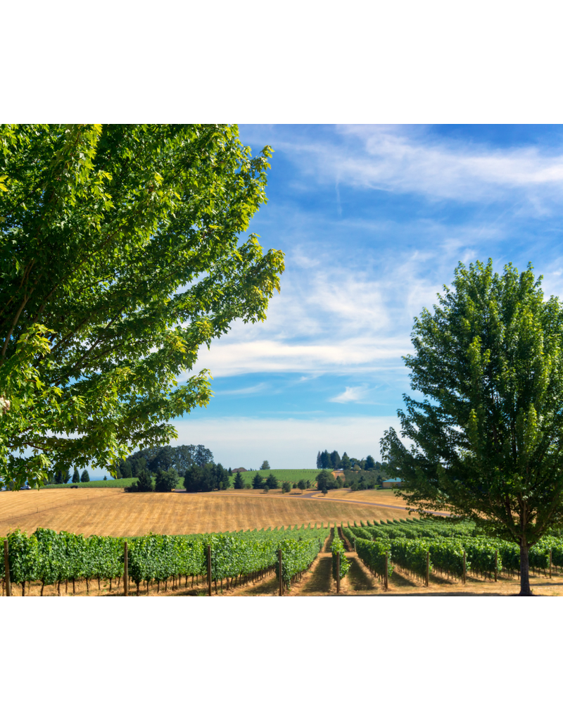 Oregon's Willamette Valley // Location: Alexandria, VA