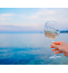 Sipping By the Sea: A Summer Mediterranean Wine Tasting - Session 2 // Location: Alexandria, VA