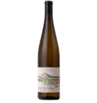 Ruby Vineyard Lily of the Valley 2024